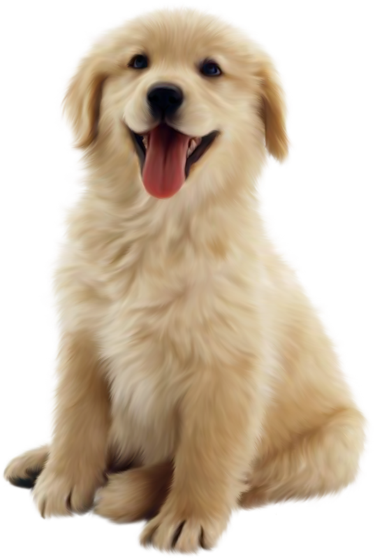 doggo